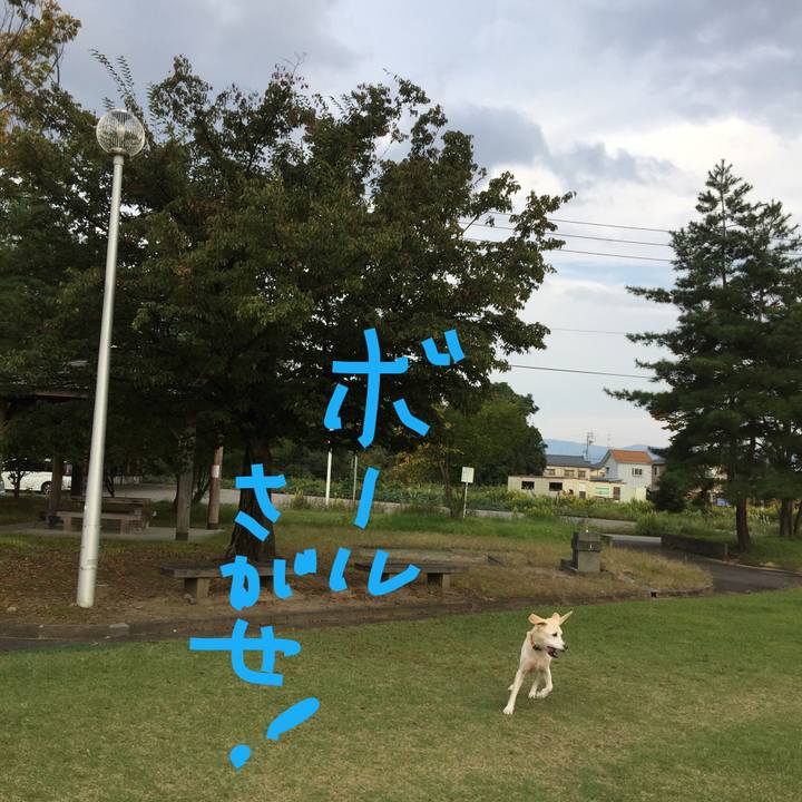 Fff3d5ad 98d5 499b be3c 52d60965ddbc 1567568885303