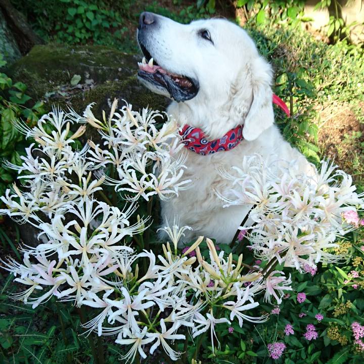 Fff3e936 b800 4323 a30f fecd75fc16f7 1538198836081