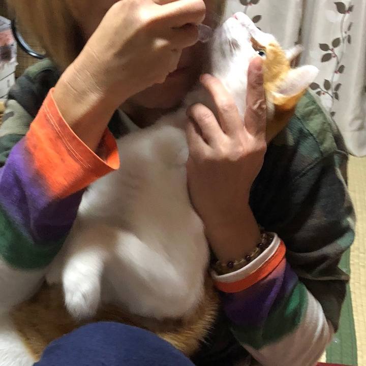 Fff40f6a 9957 4707 bbe5 c3d06022f030 1540353078684