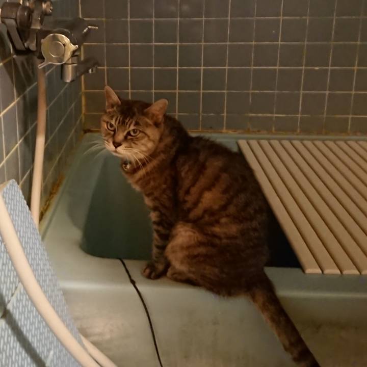 Fff40f8e 8492 46ac aa61 1b53cc0be0c1 1569835755438