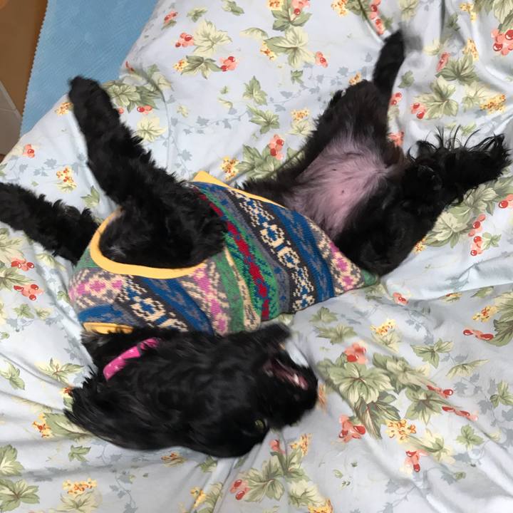 Fff450ae 9d3a 480c ba87 036b748f570d 1513692179825