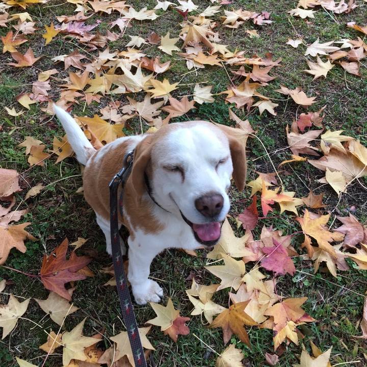 Fff48272 6ad6 48e4 8be0 e5a884e49859 1763345360448