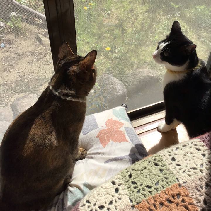 Fff49325 55f4 4a7c 8ad5 d1abae1e1f35 1649657267138