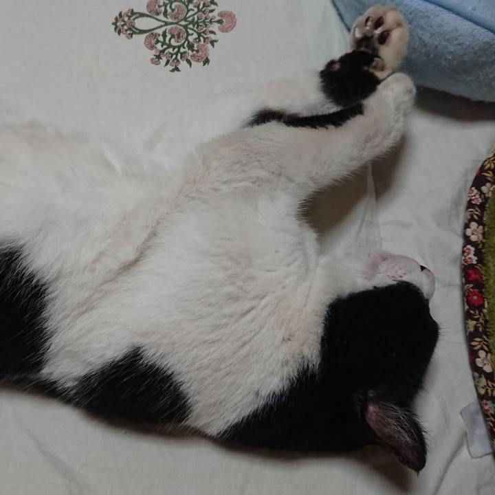 Fff49a0d e5ee 4288 9154 d0e2feedfa4b 1530892420397