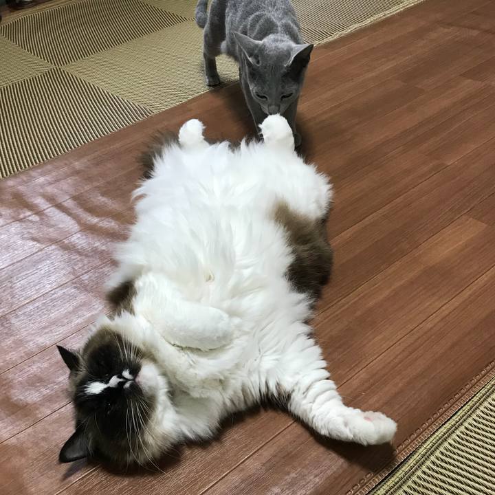 Fff4a7d9 5dd9 4ad1 8434 5c40adacc4ff 1515761910751