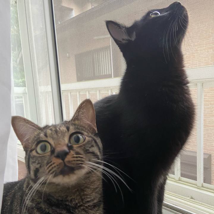 Fff4afa2 c114 4366 a045 c7d2e3b0ec47 1630667398201