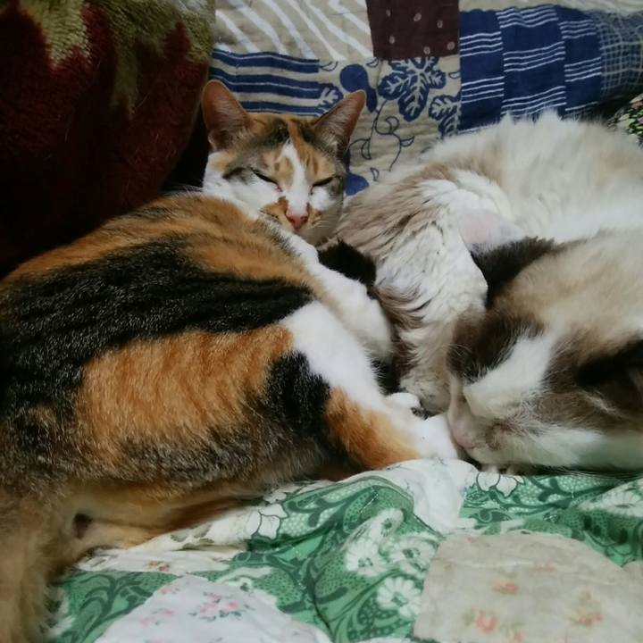 Fff4d1d4 3ed9 42d2 874f d555651685c2 1551876665273