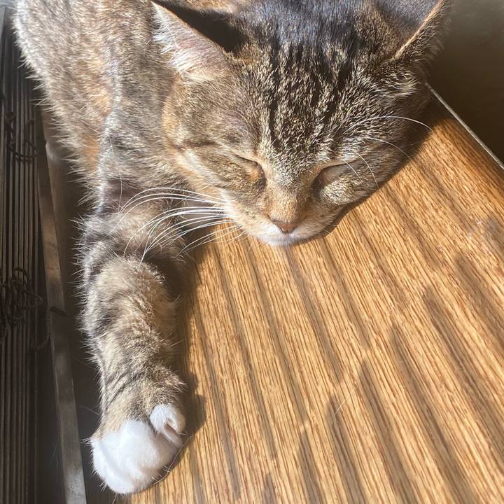 Fff4d1de 385e 4d1d b9a2 8a0b798a46f1 1649821918672