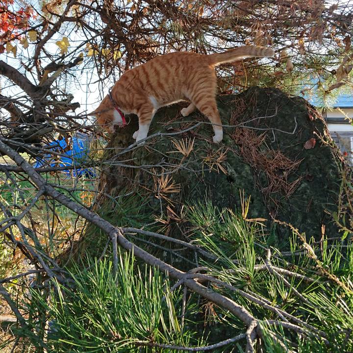 Fff4d640 eda7 47cd 9f31 7162c502f0b4 1573974393335