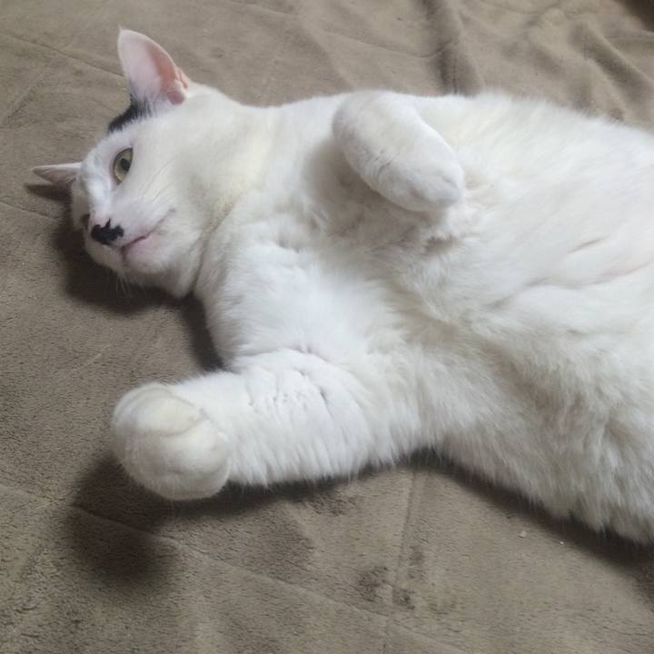 Fff5210f 5b62 4401 9836 e8f95a9d1c52 1522414686581