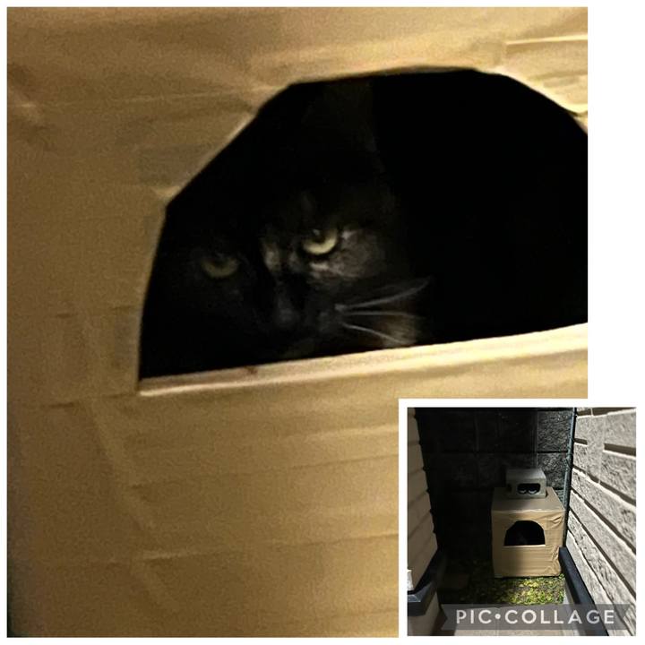 Fff52bfa 74d3 4ff0 9172 e3180a677ef4 1769075708752