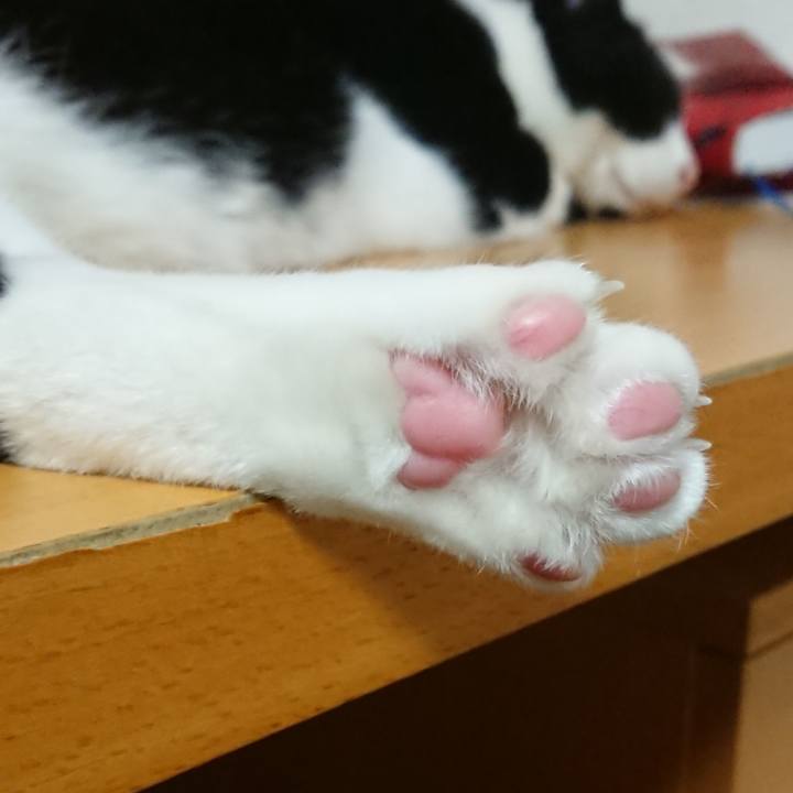 Fff52fc5 d213 4fdf b0ed 7d164d495971 1651375946865