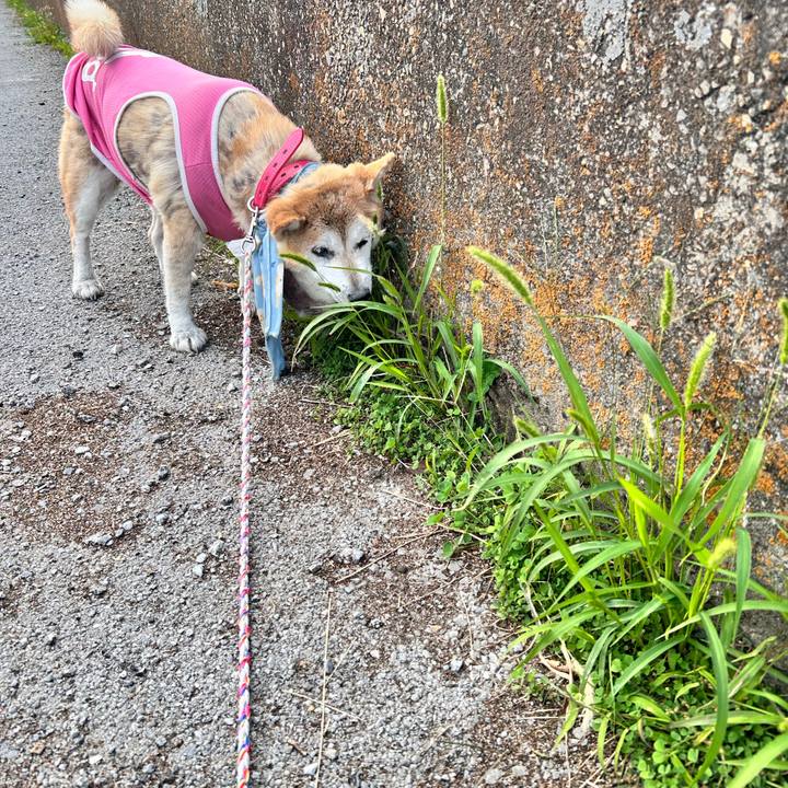 Fff56015 ea93 456a 9bc5 b67793c20885 1763275724247