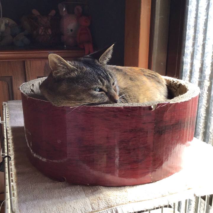 Fff57259 da48 4731 8485 5a8ec206eda5 1741317193038