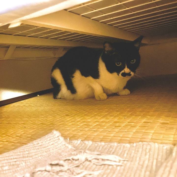 Fff59a7a 7ea5 4953 961a 7a0f32af3b4c 1656117700498