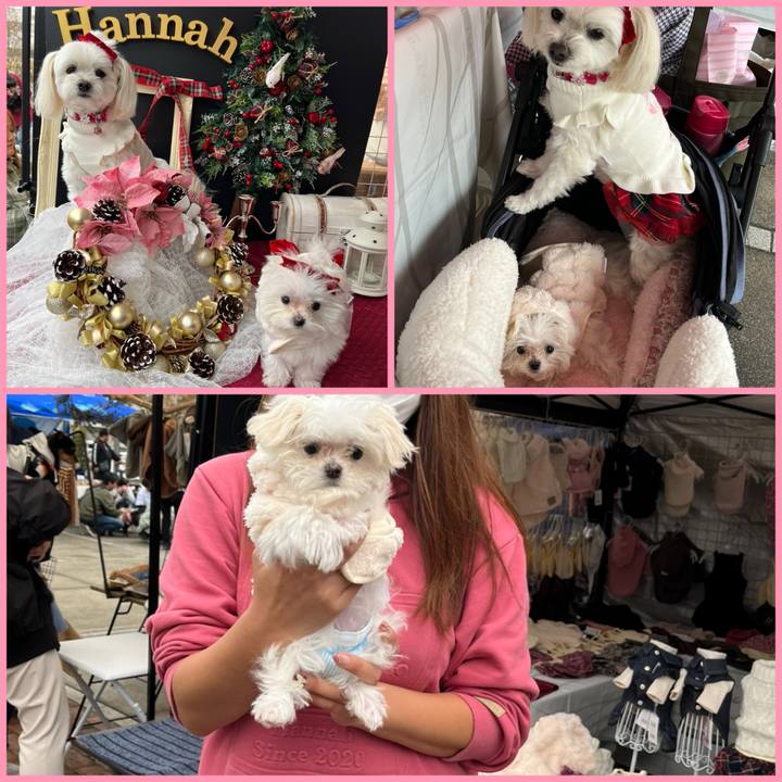 Fff59c2b c4be 4b4a a8cb 930493637bd2 1702720783164