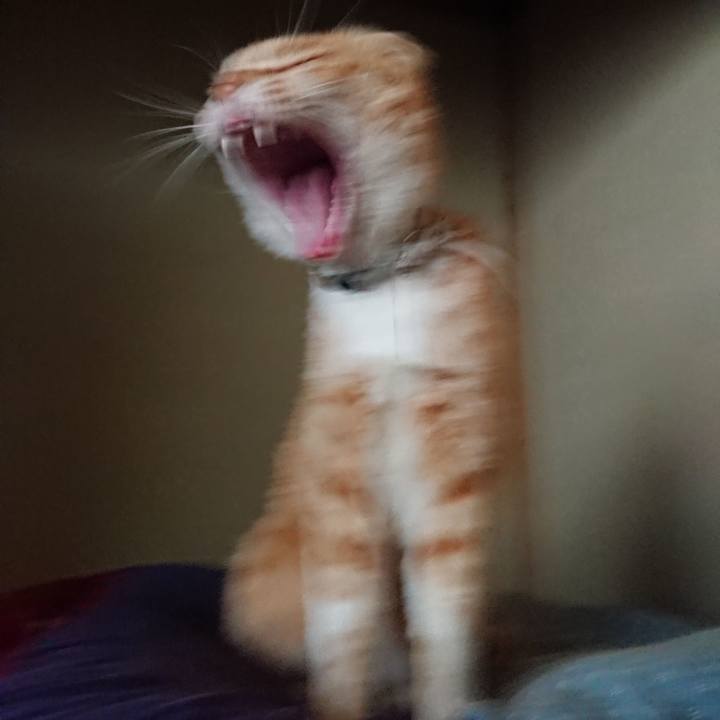 Fff5dee0 b767 411d b120 0dc045ef1b87 1590564668594