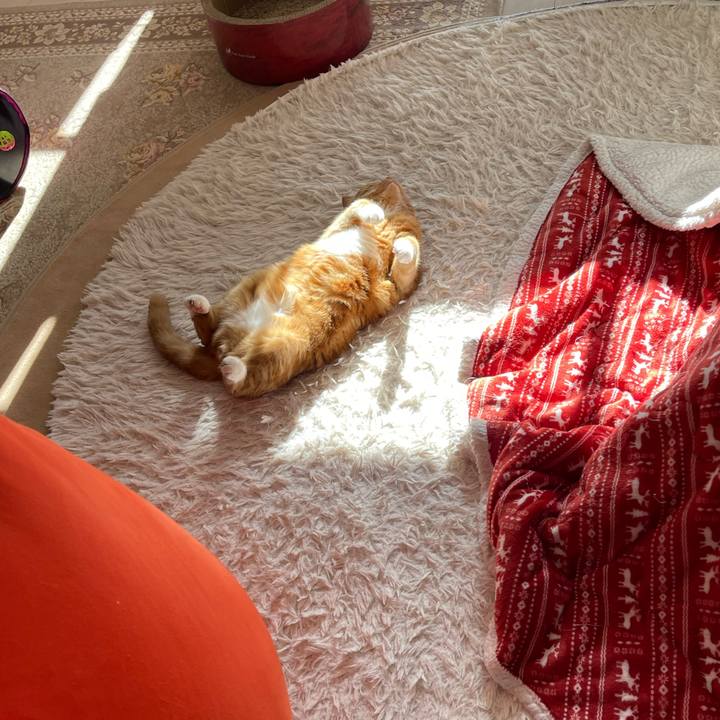 Fff65d97 5e97 44eb b510 873a855c9241 1669519882077