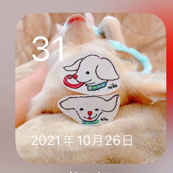 Fff6bc0e fe52 4732 8357 8bbca115ce00 1698763034848