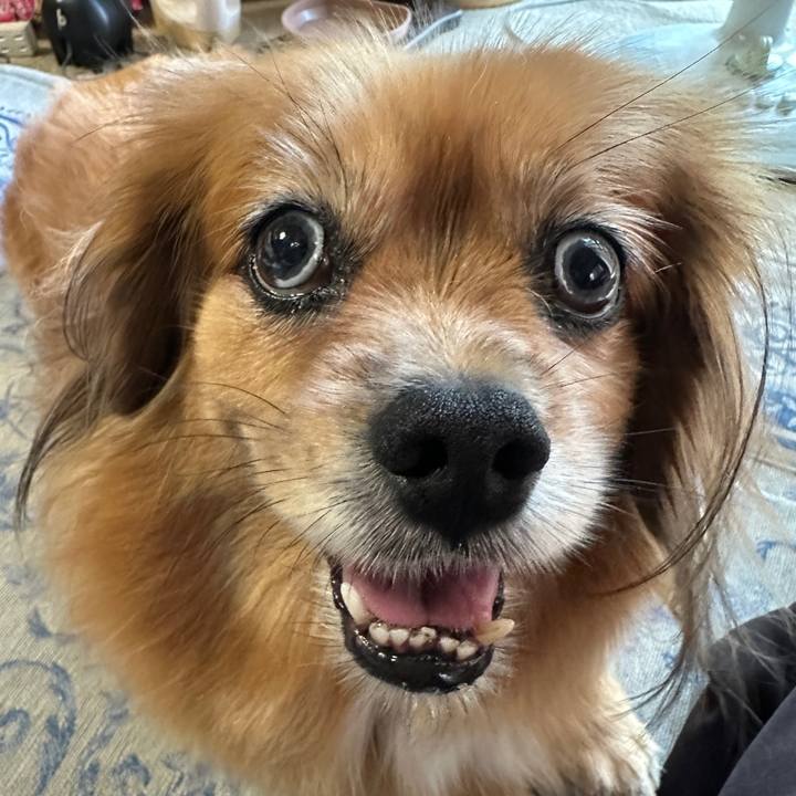 Fff6dd11 d193 4c80 8419 190223e987c9 1755551690201