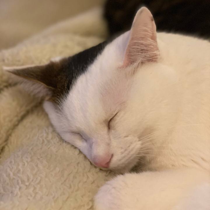 Fff729af b492 4be3 9b96 9d9209864241 1630466749940