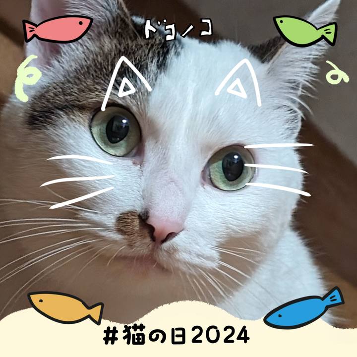 Fff733e8 668b 482d 8fa7 57d46e885d0f 1708562259089