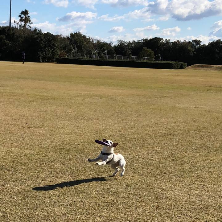 Fff77457 f90b 447f b81d 76c242ad8c42 1513498903146