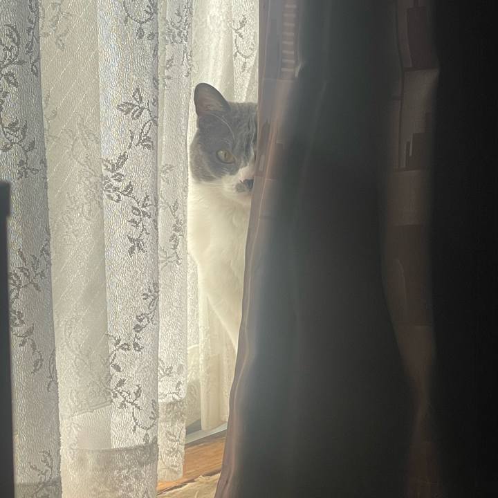 Fff77d48 dd6d 49b0 a140 db4f586dac61 1648857634742