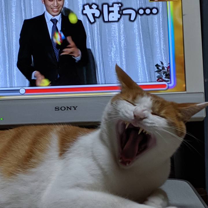 Fff78def cfad 4bef a1d1 270ab684aa0b 1564754707671