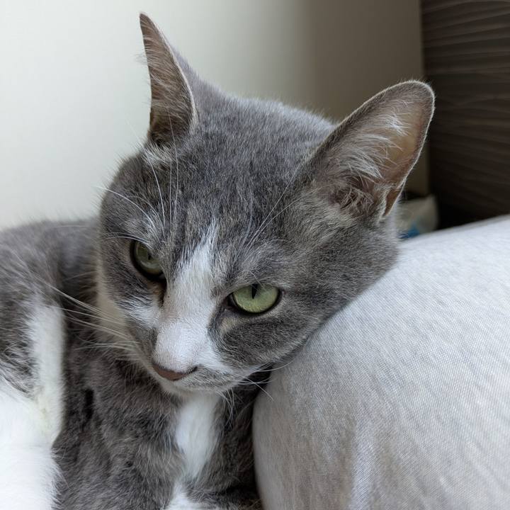 Fff79c5b 8261 475d 849f 048218ed77cd 1749088255662