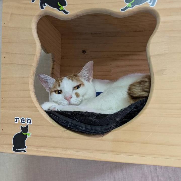 Fff8421d 9871 461d b5a4 d95749dc0481 1766614171060