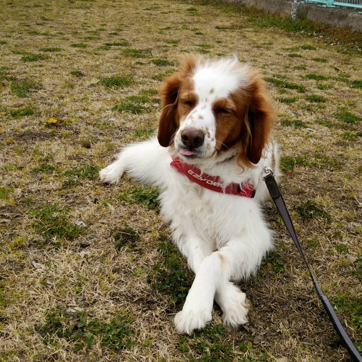 Fff860a4 aab8 443e a2a3 40b731abc43e 1551516906053