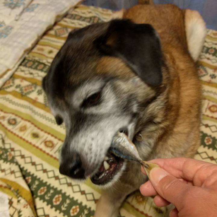 Fff878e8 92d8 46b6 b041 16bbd4785a7c 1542700879815