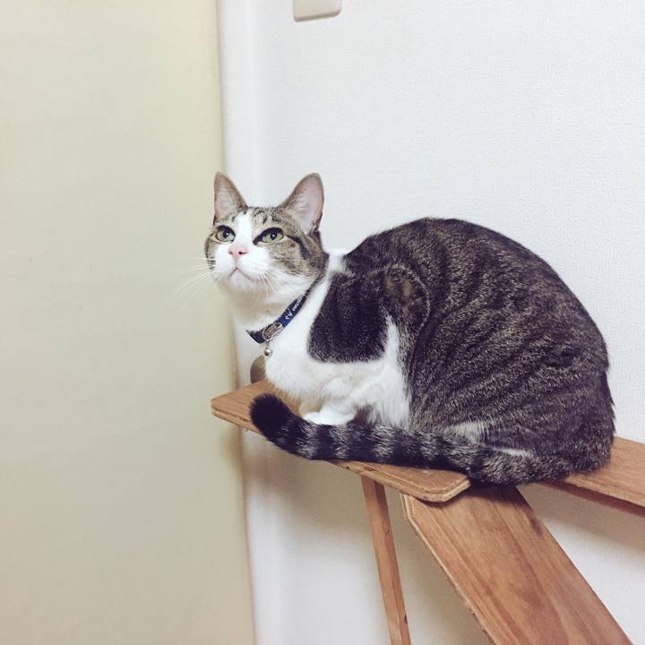 Fff88f60 a054 4790 aa39 7fd4373735d2 1516285372774