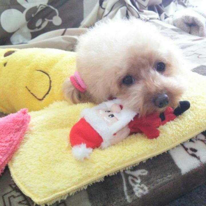 Fff89cbc bc5b 49bc bc86 efe3ef0e4fca 1545394952041