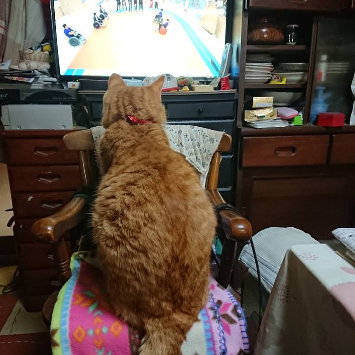 Fff8efe1 b15a 4ff0 9163 8387859c517a 1578482742864