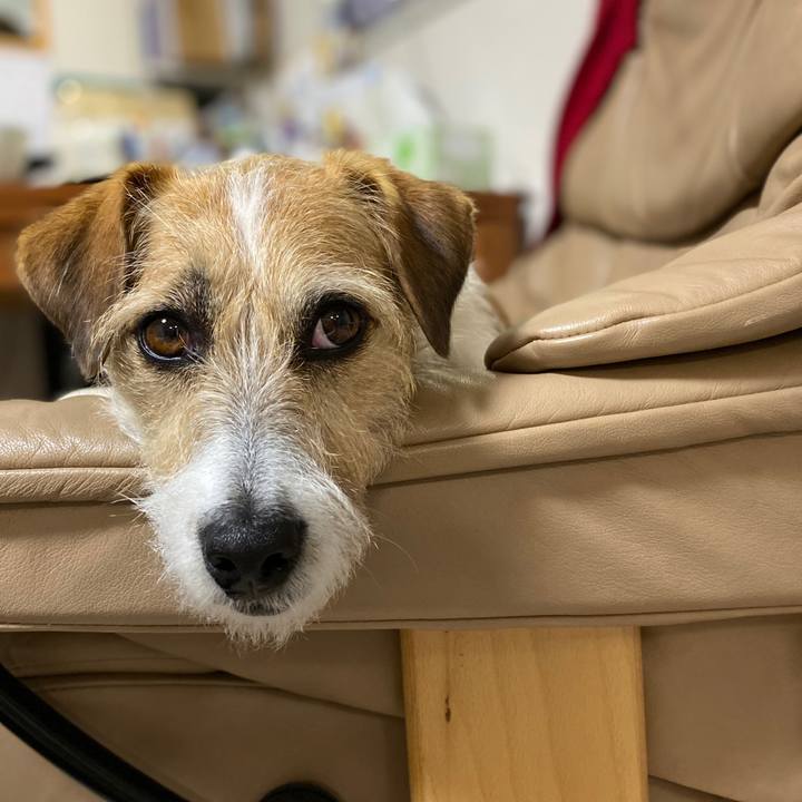 Fff939c1 caaa 43e2 b2e6 2375fcf286e8 1582544804564