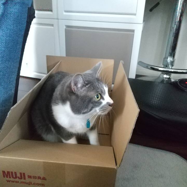 Fff96be4 1a02 43e4 afee 3dad05cd07a2 1627023338597