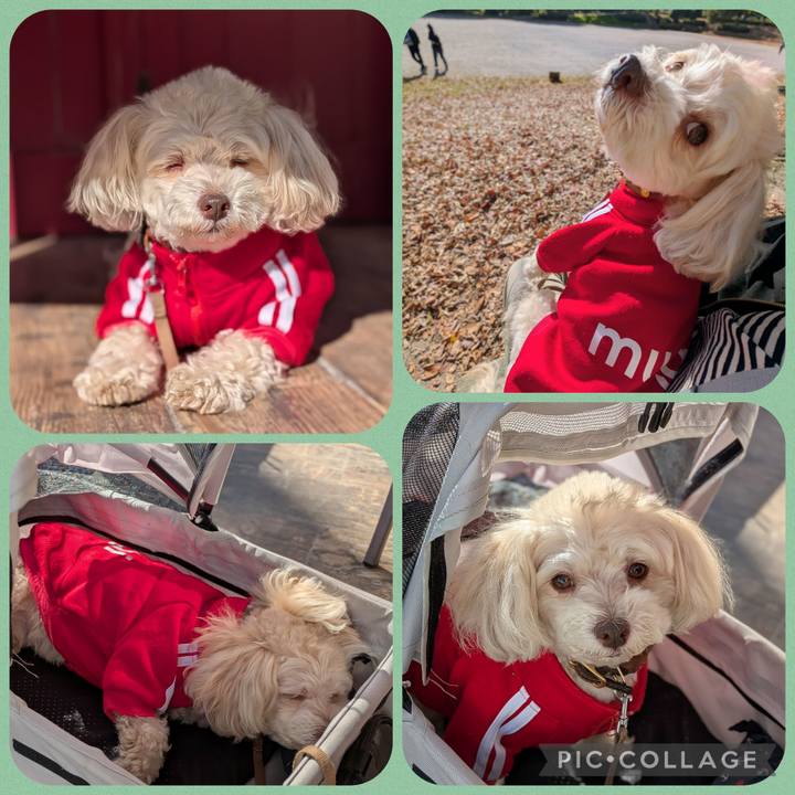 Fff973bd 35ee 4ff3 9cf1 6f8388c28cd7 1764585845924