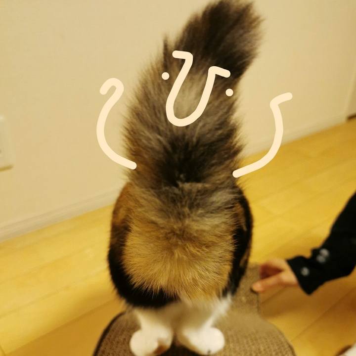 Fff98f2a b0a8 4f8d 94ca 963b43840663 1671942546910