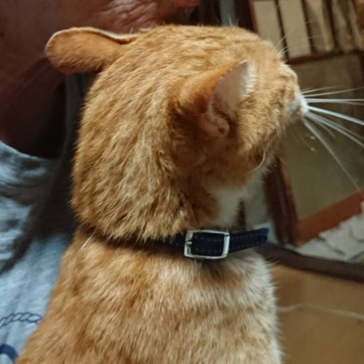 Fff9fd6a 129a 431c 8fe1 64266d3f2926 1597523015227