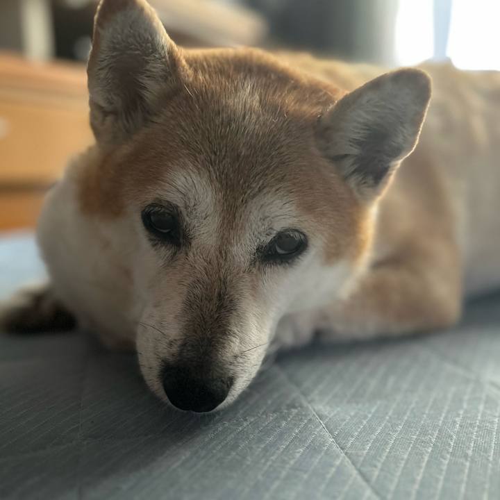 Fffa0abd 9f5f 4349 bb98 55afb46a8a20 1759817845741