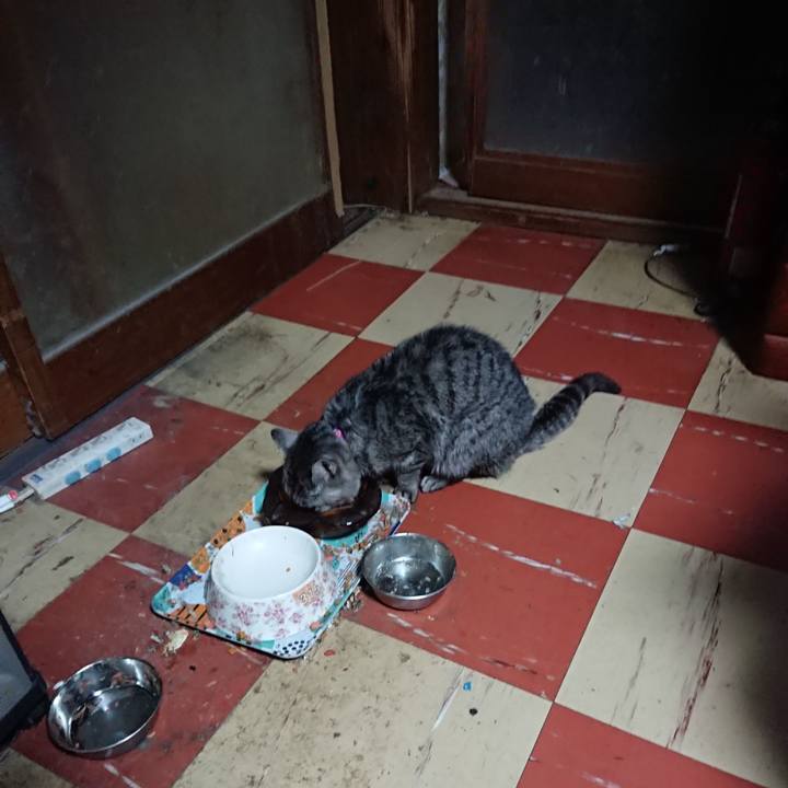 Fffa29a2 df2f 4e00 8f5b e156e9aaa6e1 1582055277888