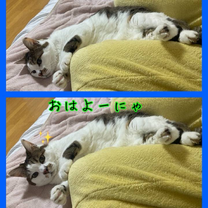 Fffa85c2 798a 4656 9364 3b373a5ea44e 1717961568769