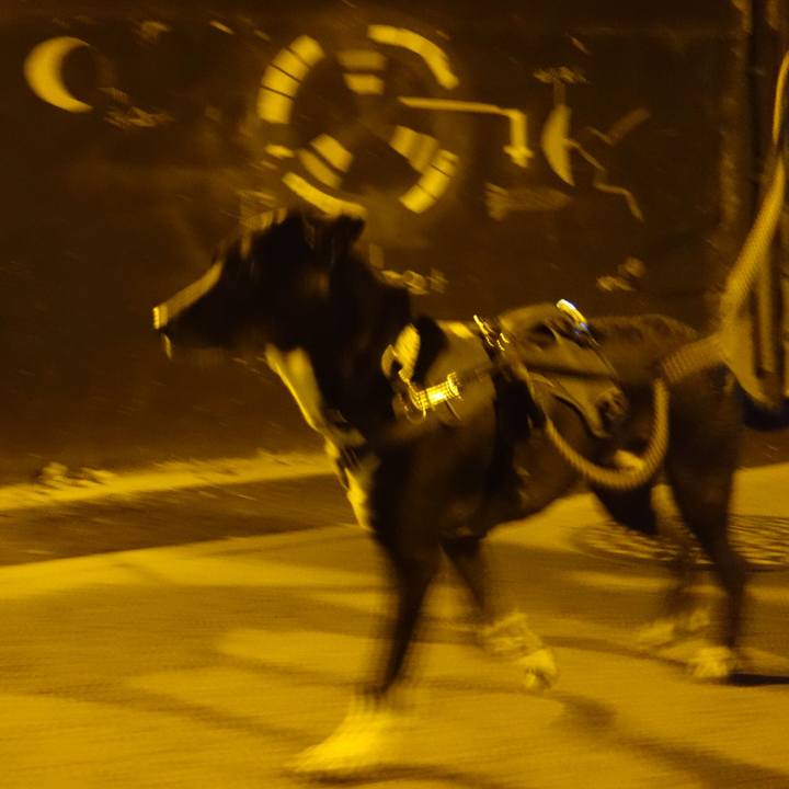 Fffa9103 9bfe 43f0 b9cd de3ed084f696 1611792124996