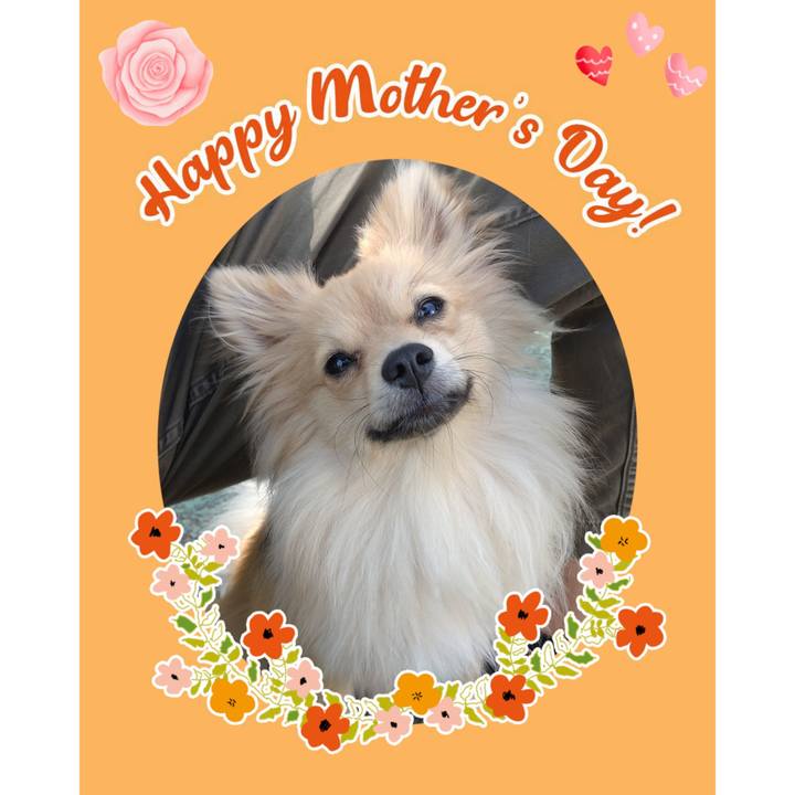 Fffa9b51 c126 4a22 a128 2c4754c3eb90 1746930628640