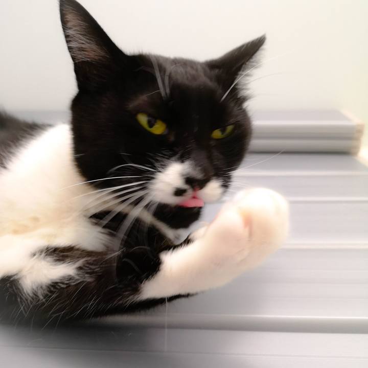 Fffab583 66fa 444e a613 709ce3e98bfa 1544032694921