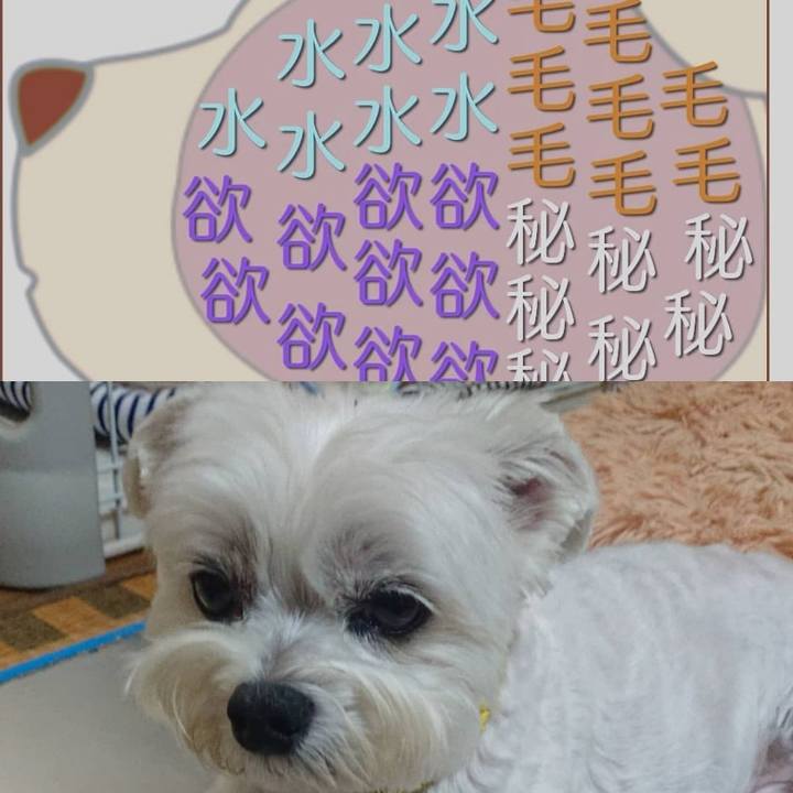 Fffaec96 c7c1 49ed 817c 301a938915a0 1625660790366