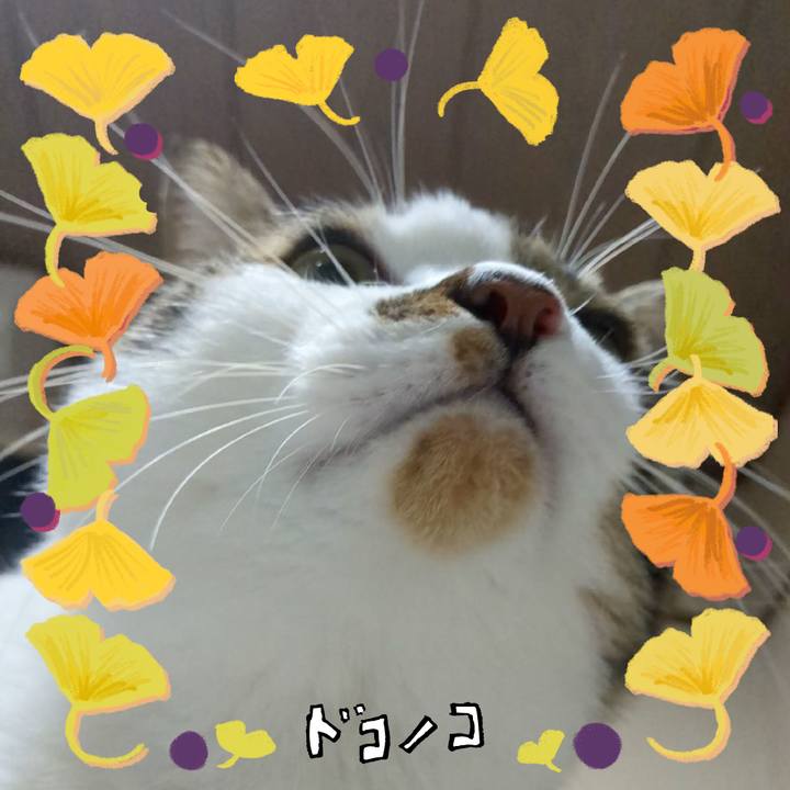 Fffaf7af 831a 4f28 bce7 df58eca25d17 1729158131019