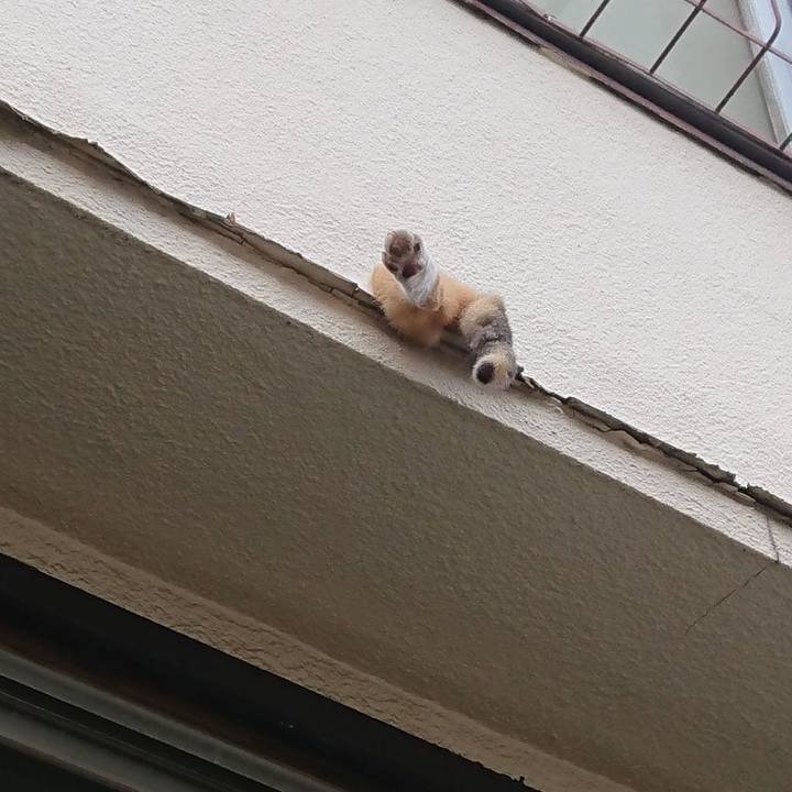 Fffb0a18 4de0 4939 84f0 0aa338807b4a 1593126874464